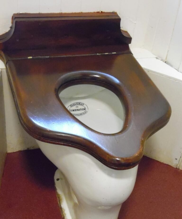 The Comfort of Choice: Why You Should Choose a Padded Toilet Seat